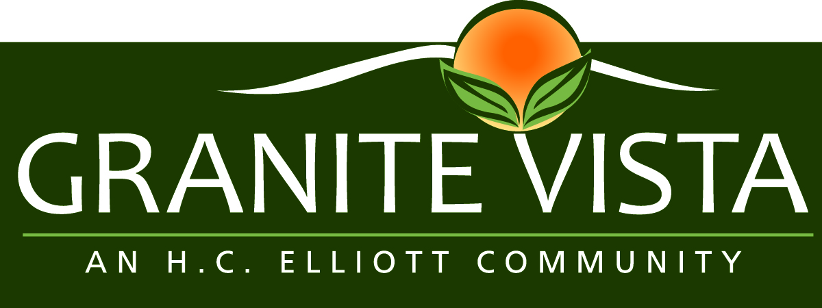 Granite Vista Logo