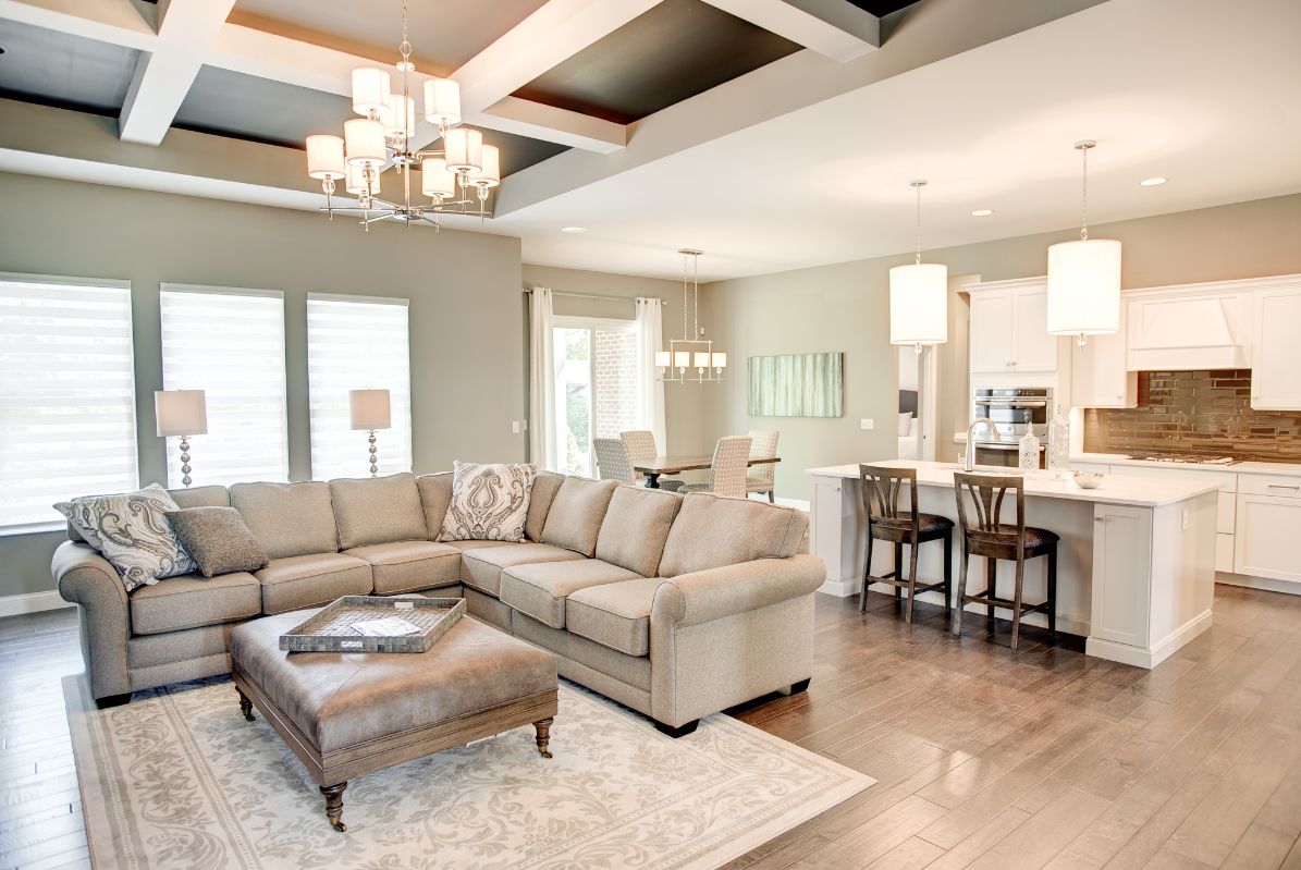 Greyson, open concept living area